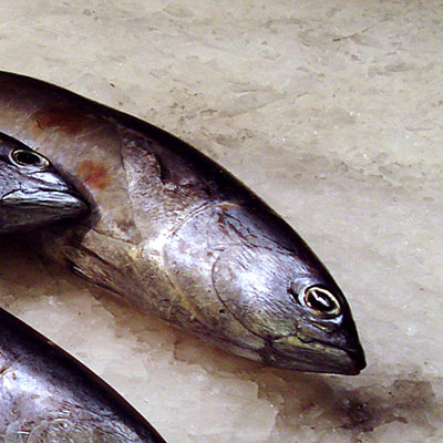 Fisch(c)TiM-Caspary/PIXELIO