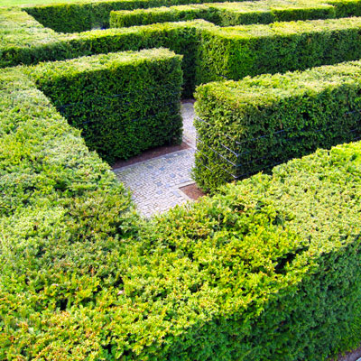 Labyrinth (c)Henrik-Gerold-Vogel/pixelio